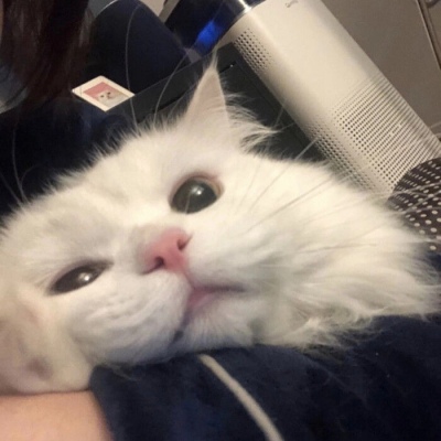 明日方舟深海猎人有gec直接登录哪些 2021最新深海猎人介绍及攻略截图1