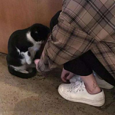 赏金猎人599足球比分网黑色黎明装备攻略截图4