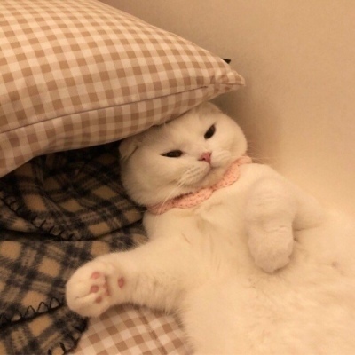 王牌对王牌比划猜题目游戏斗球dqiuvip苹果版规则是什么 王牌对王牌你演我猜题目大全有哪些手游最新版本截图3